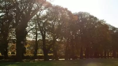 Jaki wpływ na środowisko mają pompy ciepła?