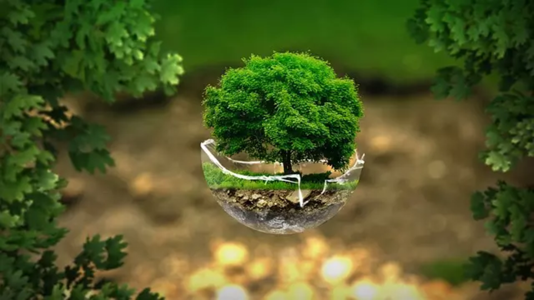zielona ziemia ekologia