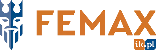 Logo FEMAX