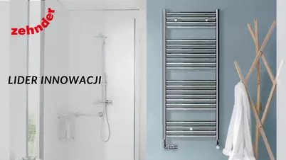 Zehnder - Lider Innowacji (PORADA)