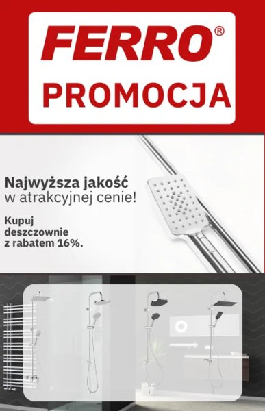 FERRO - Akcja "Deszcz złotówek"