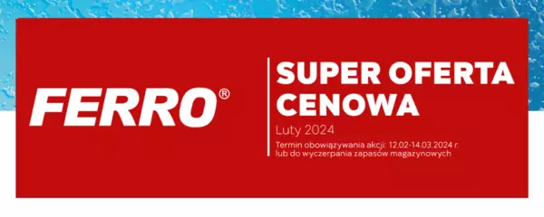 Promocja miesięczna: luty 2024 FERRO - banner