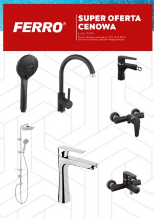 FERRO – Promocja miesięczna: luty 2024 – PROMOCJA