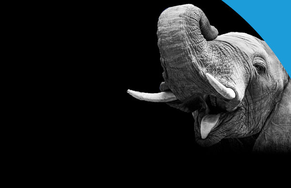 Promocja "Black WEEK z Niczukiem" 