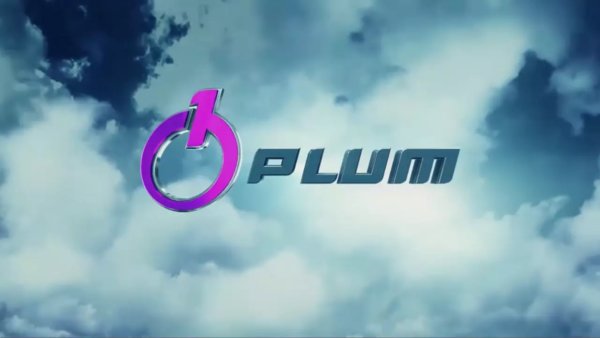 PLUM INSTAL-KONSORCJUM