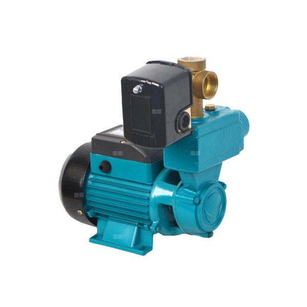 WZI 250 (0,25kW, 230V) pompa z osprzętem