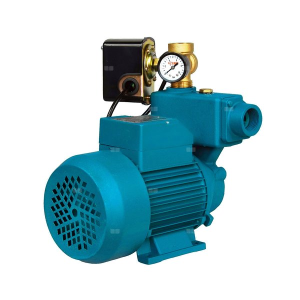 WZI 750 (0,75kW, 230V) pompa z osprzętem
