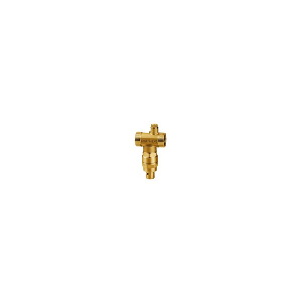 Zawór antyzamrożeniowy do komercyjnych pomp ciepła Gz 2”/Gw 1 1/2"