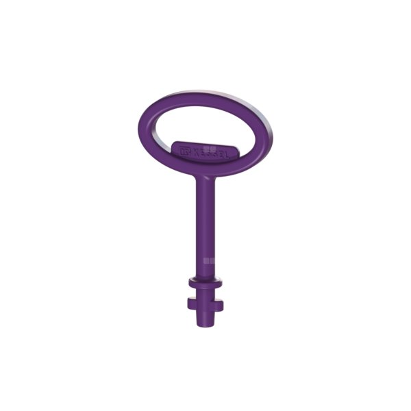 Kluczyk ryglujący do rusztów z Ecoguss