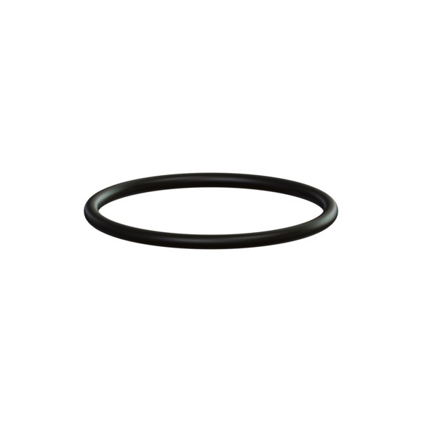 O-Ring Kessel